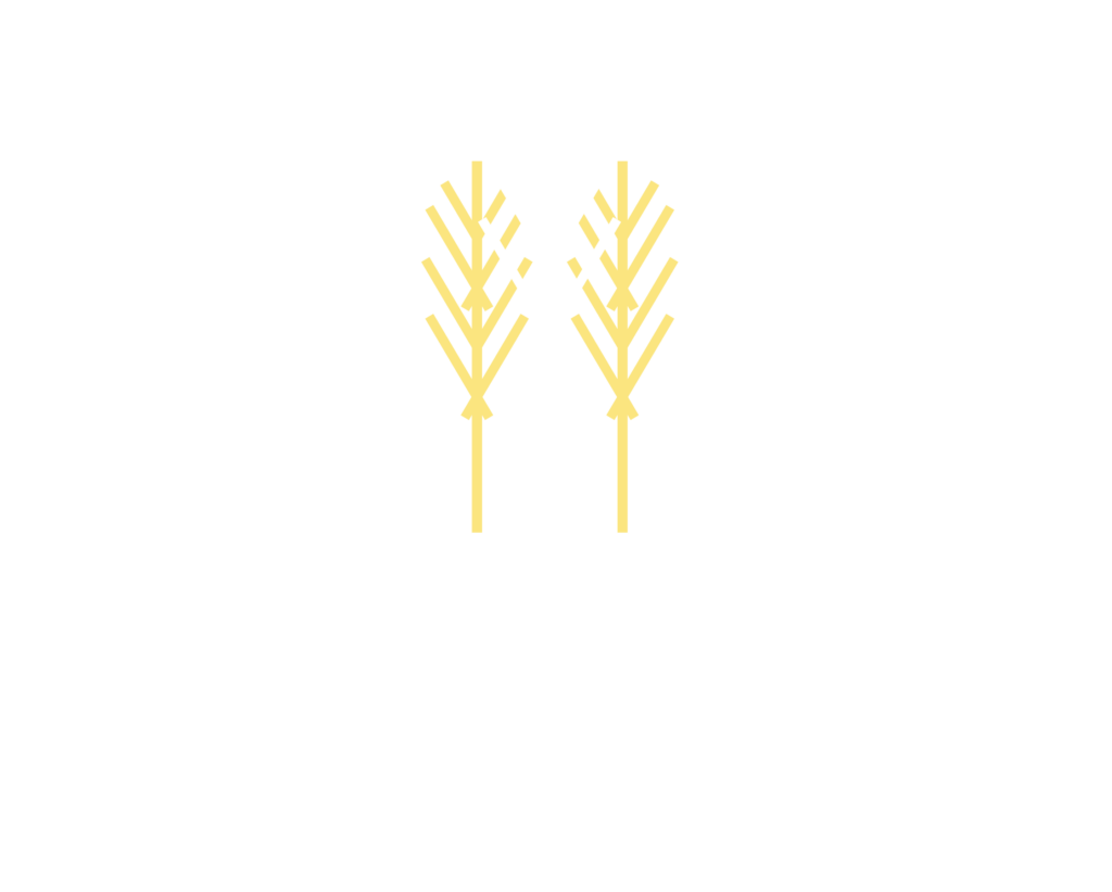 Two Row Studio Logo